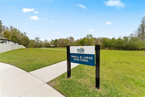 20602 Monza Loop Land O Lakes FL 34638