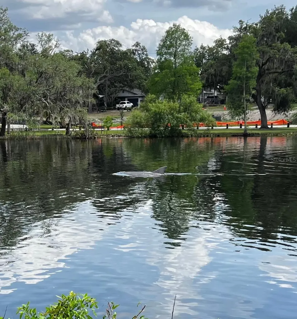 6605 N Boulevard Tampa FL 33604