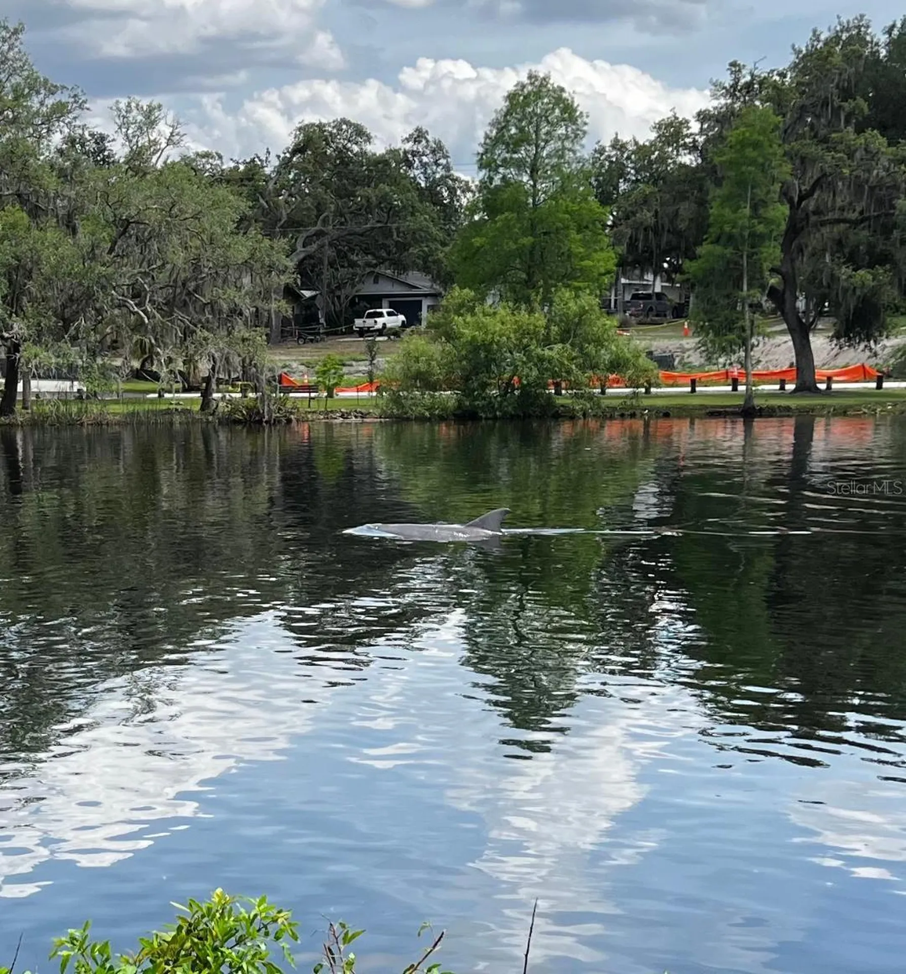 6605 N Boulevard Tampa FL 33604