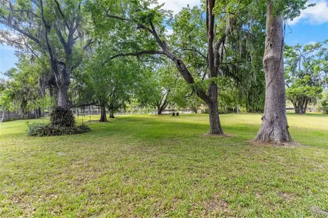 6605 N Boulevard Tampa FL 33604