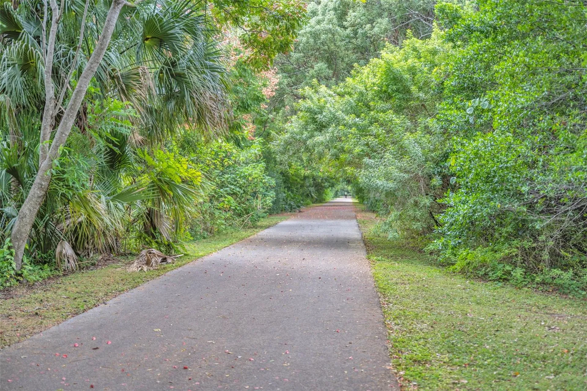 1507 Golfside Drive Winter Park FL 32792