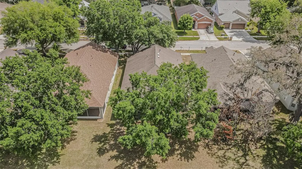 13016 Terrace Brook Place Temple Terrace FL 33637