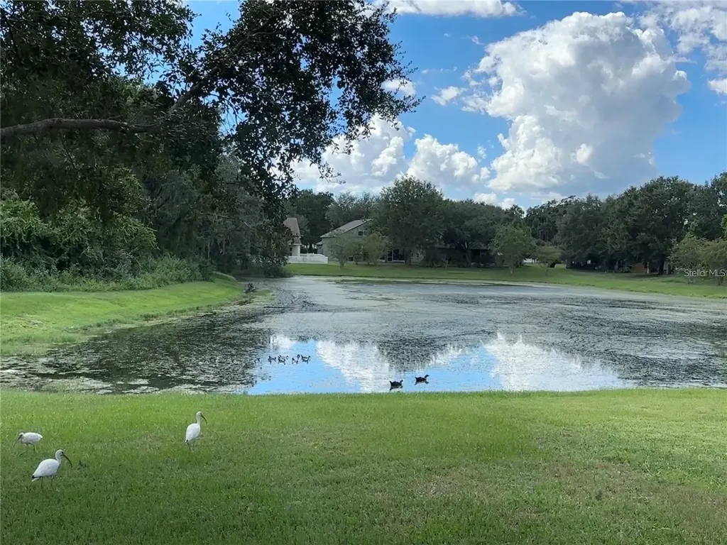 13016 Terrace Brook Place Temple Terrace FL 33637