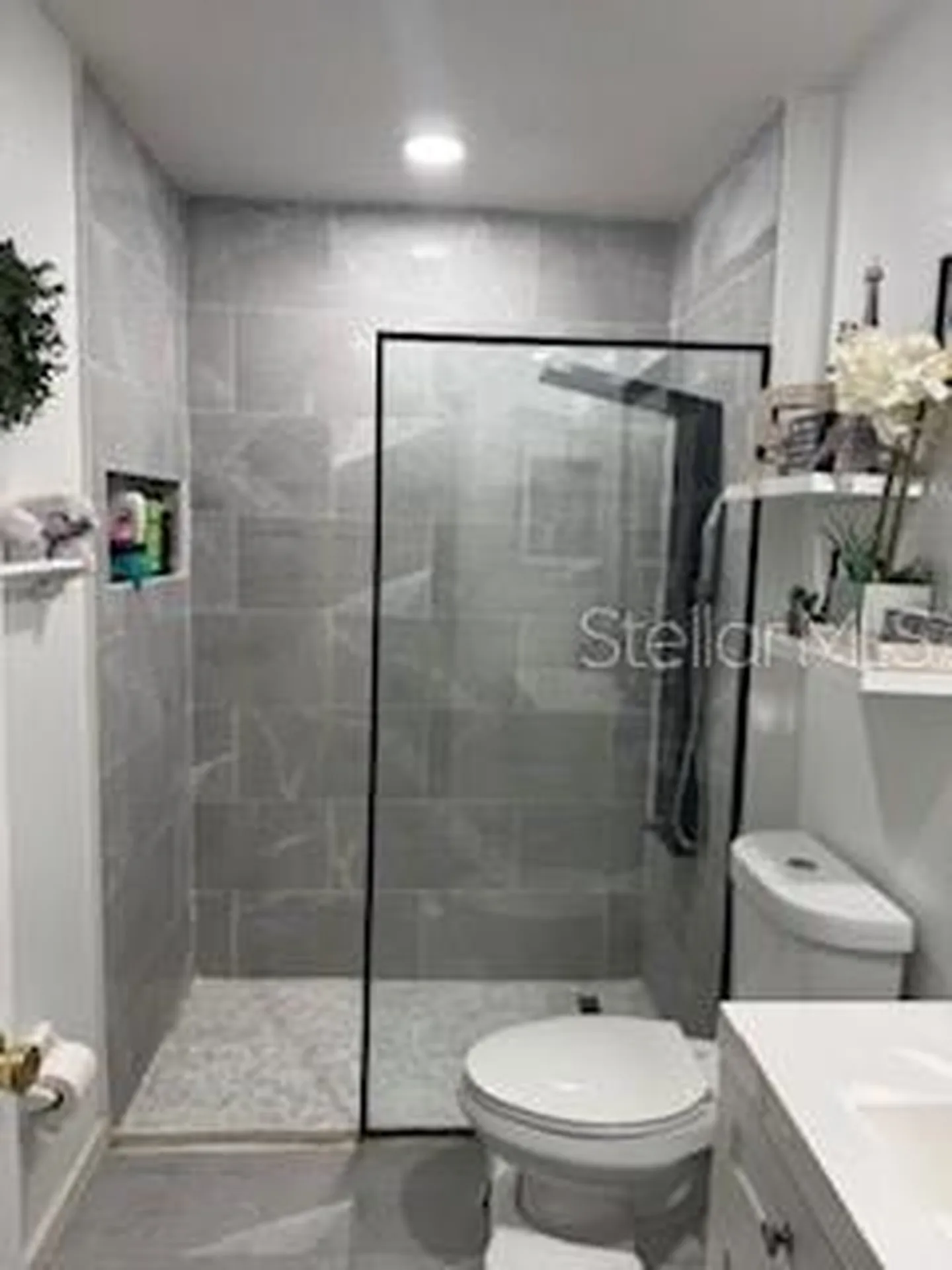 2290 Cobblefield Circle Apopka FL 32703