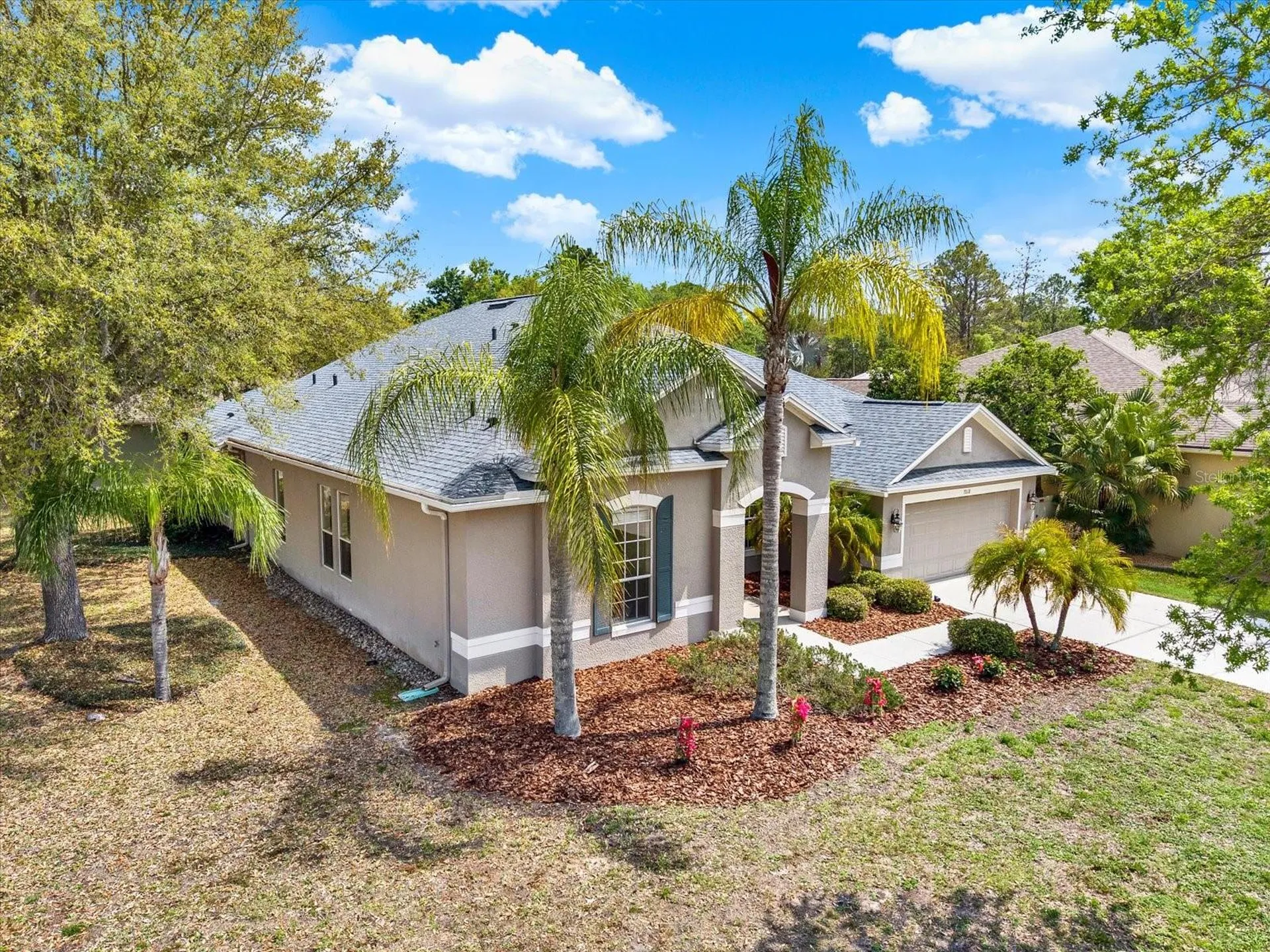 7018 Cardinalwood Lane Land O Lakes FL 34637