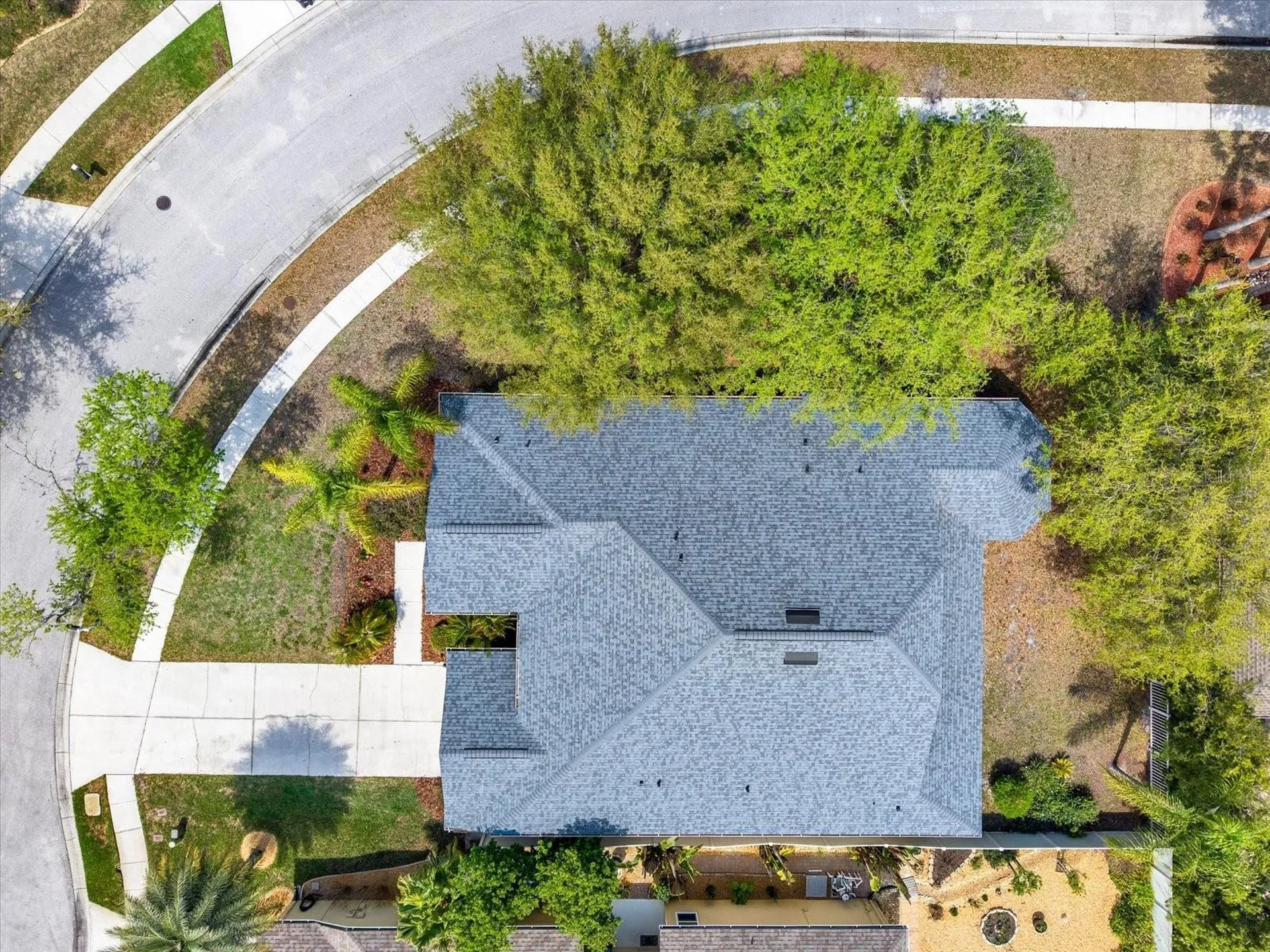 7018 Cardinalwood Lane Land O Lakes FL 34637