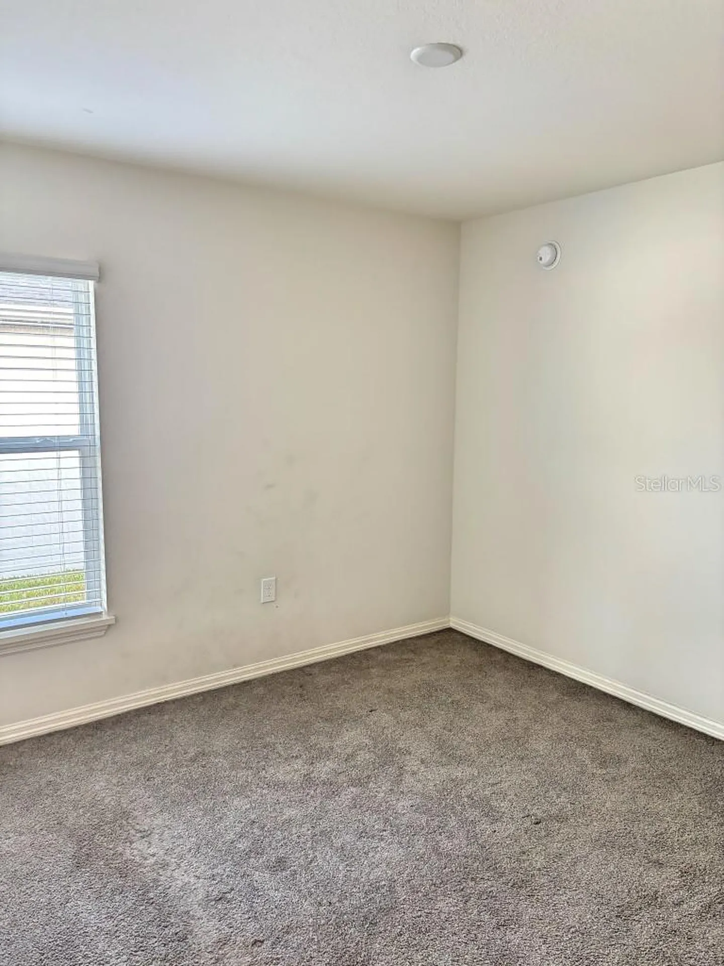 737 Daphne Drive Polk City FL 33868