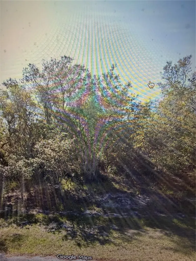 1348 Tallahassee Court Kissimmee FL 34759