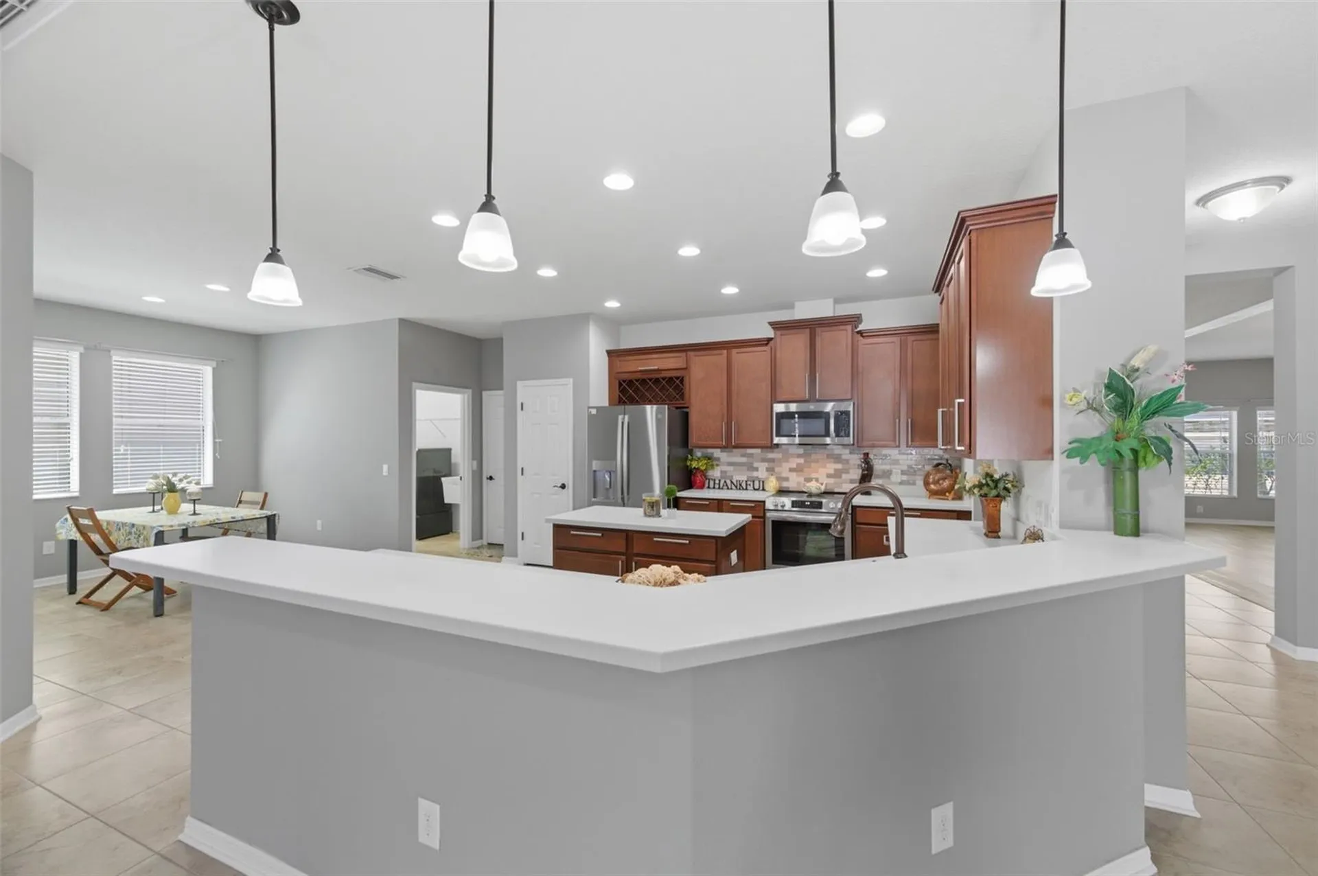 8730 Briggs Marsh Court New Port Richey FL 34654