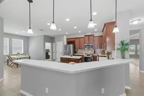 8730 Briggs Marsh Court New Port Richey FL 34654