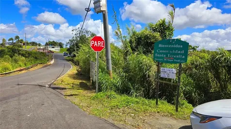 Street 809 Cedro Arriba Sector Santa Teresita Ii Naranjito PR 00719