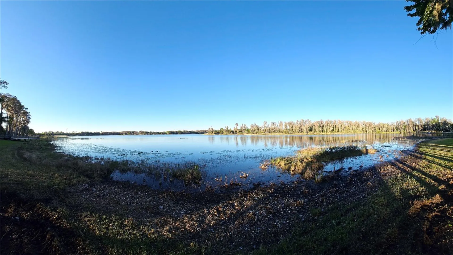 Debuel Road Lutz FL 33549