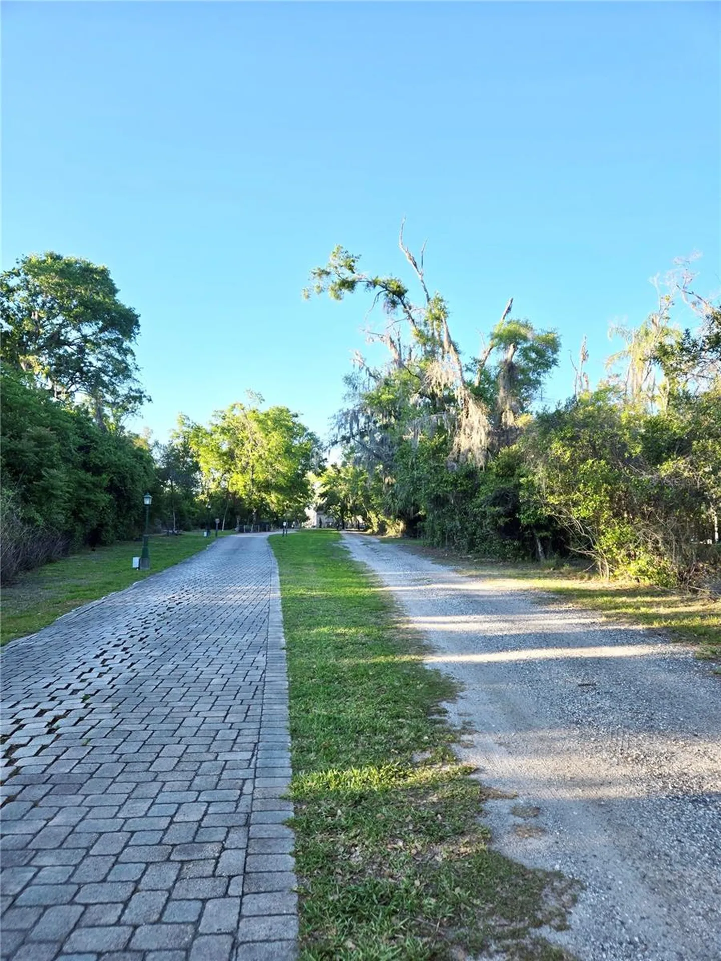Debuel Road Lutz FL 33549