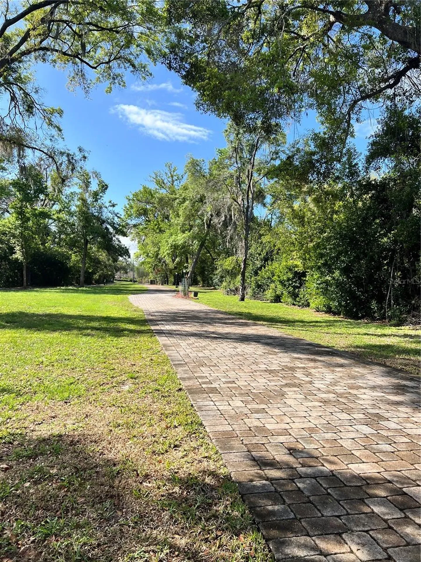 Debuel Road Lutz FL 33549