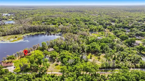 Debuel Road Lutz FL 33549