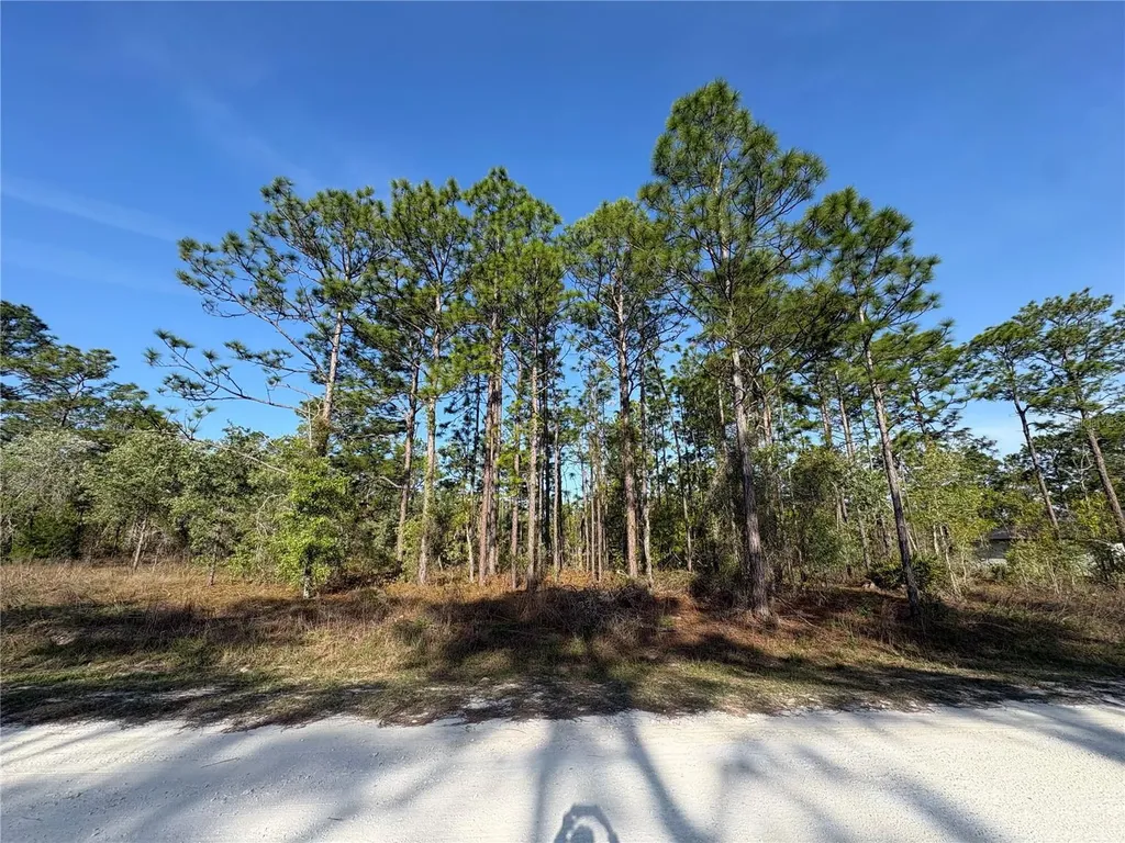00 Penn State Road Weeki Wachee FL 34613
