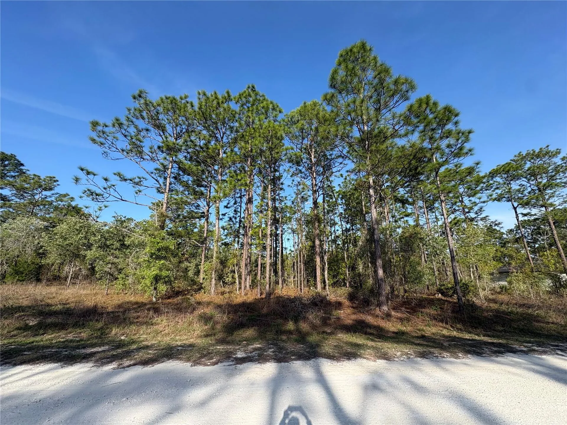 00 Penn State Road Weeki Wachee FL 34613