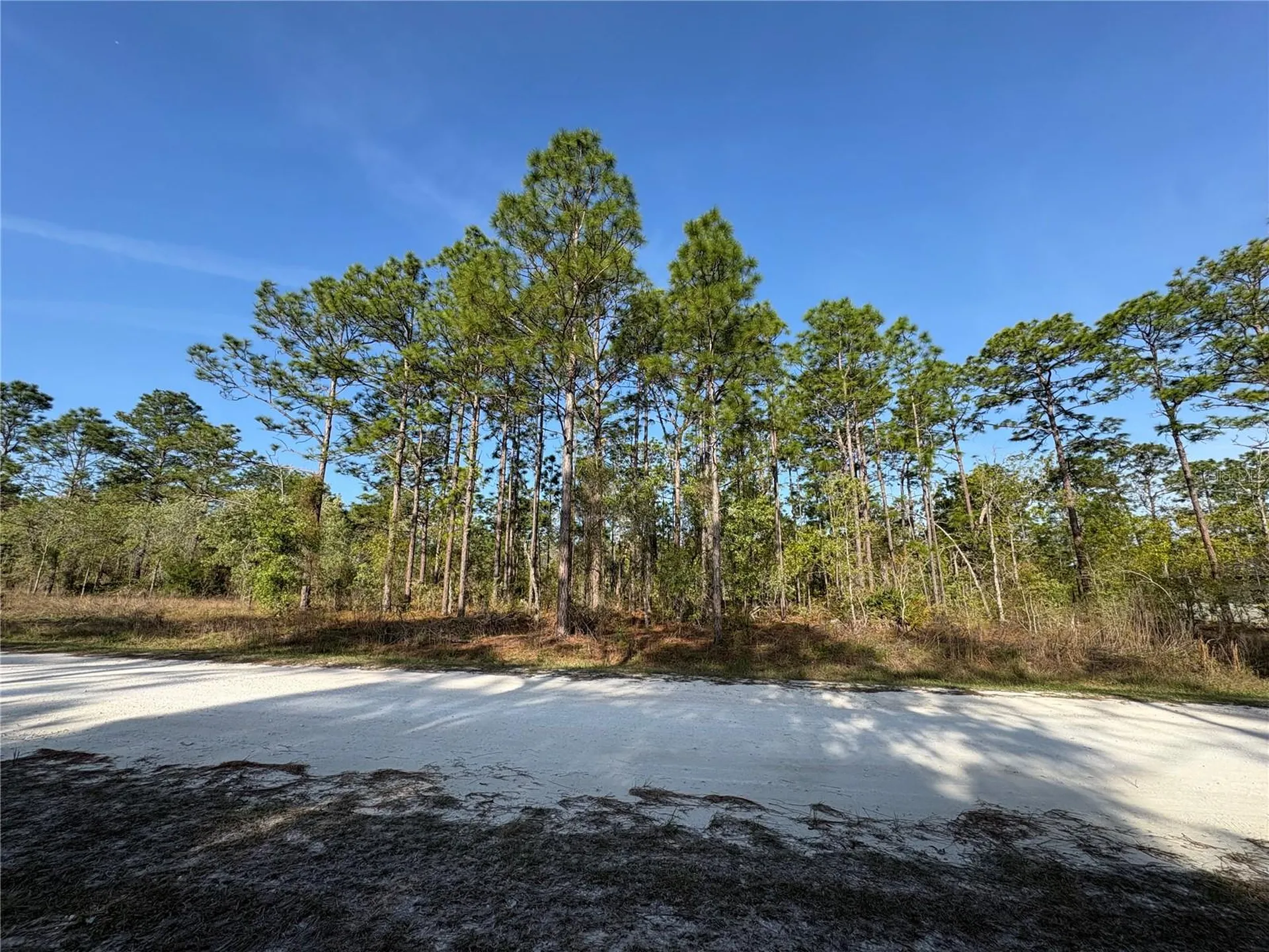 00 Penn State Road Weeki Wachee FL 34613