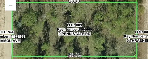 00 Penn State Road Weeki Wachee FL 34613