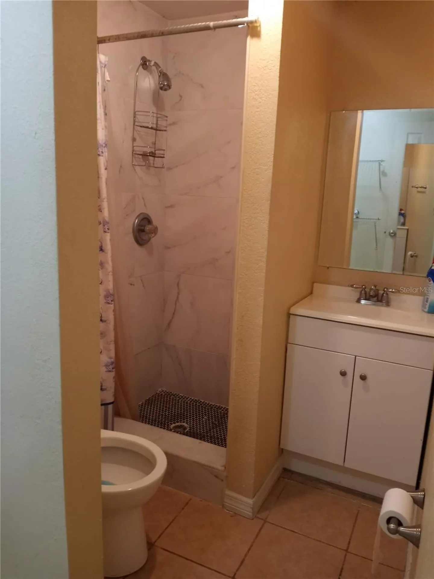 2538 W Hiawatha Street Tampa FL 33614