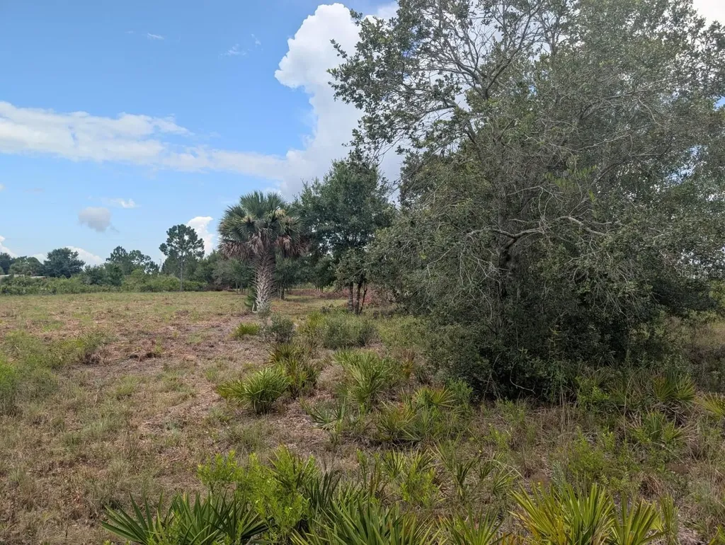18235 NW 250th Street Okeechobee FL 34972