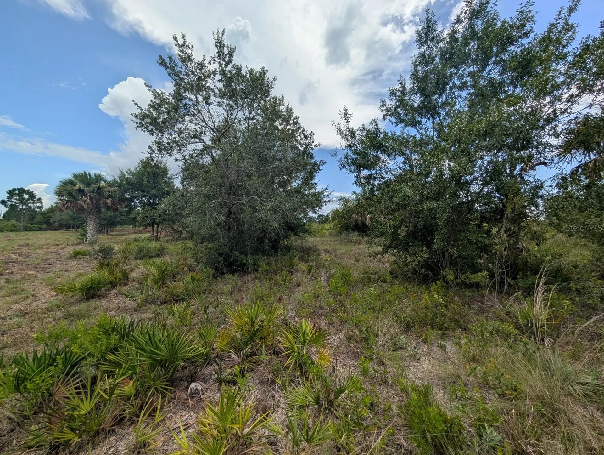 18235 NW 250th Street Okeechobee FL 34972