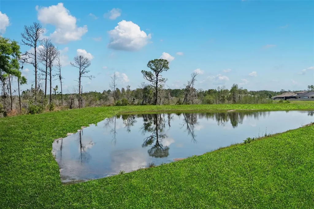 8934 Little Bluestem Drive Land O Lakes FL 34637
