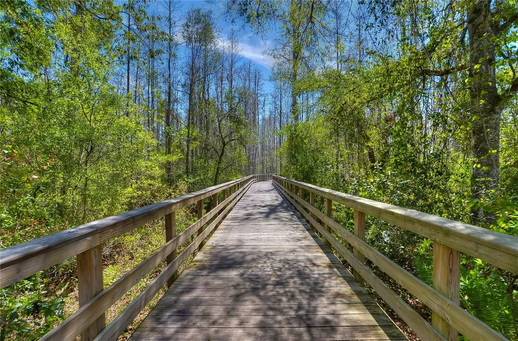 8934 Little Bluestem Drive Land O Lakes FL 34637