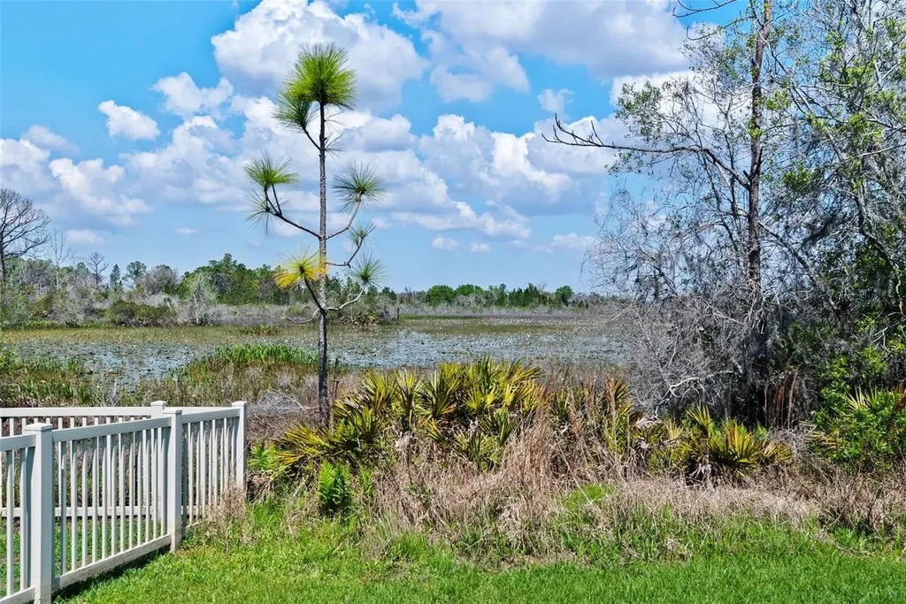 8934 Little Bluestem Drive Land O Lakes FL 34637