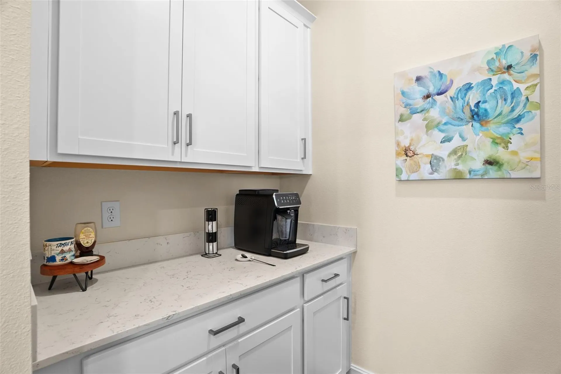 8934 Little Bluestem Drive Land O Lakes FL 34637