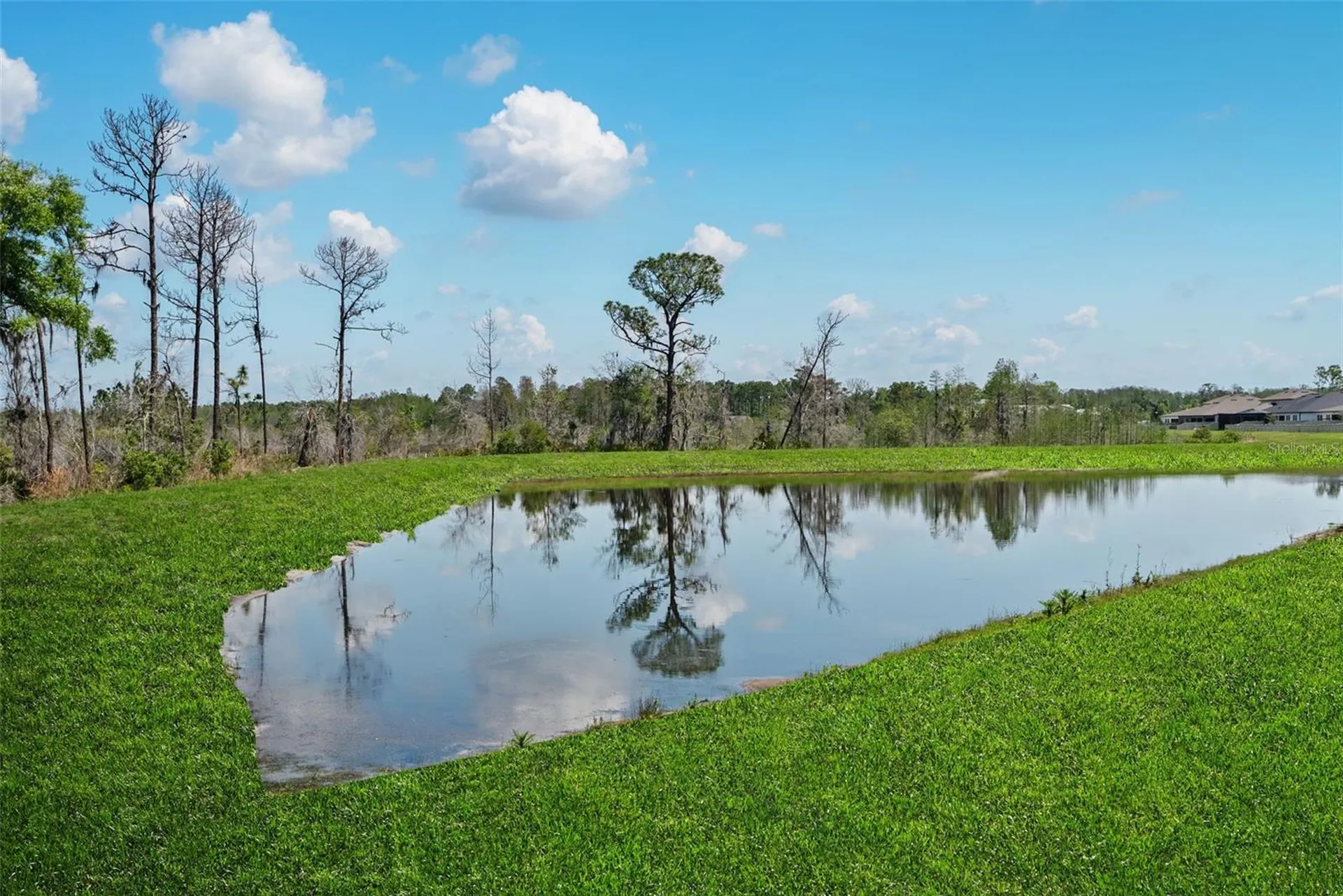 8934 Little Bluestem Drive Land O Lakes FL 34637