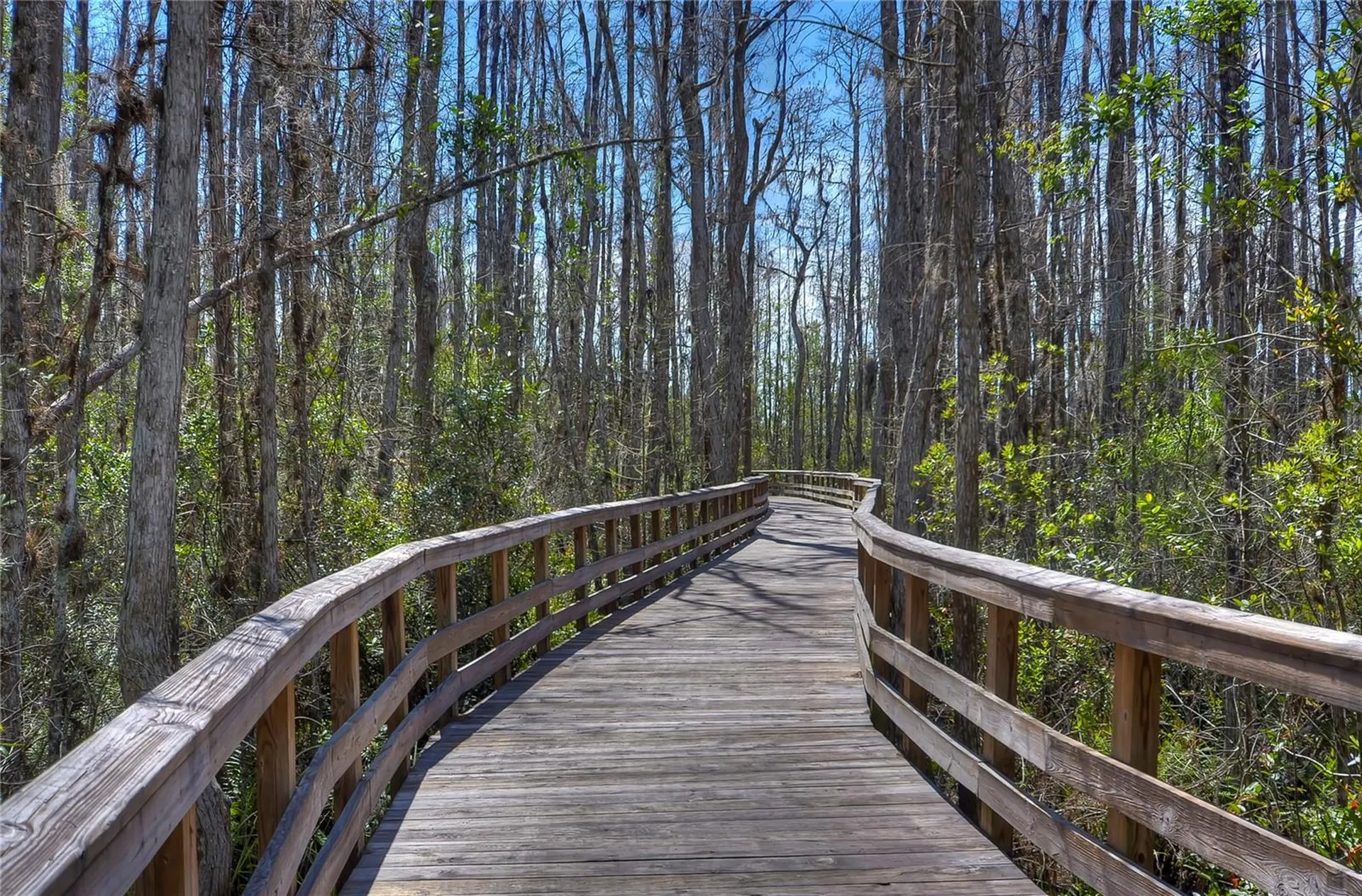 8934 Little Bluestem Drive Land O Lakes FL 34637