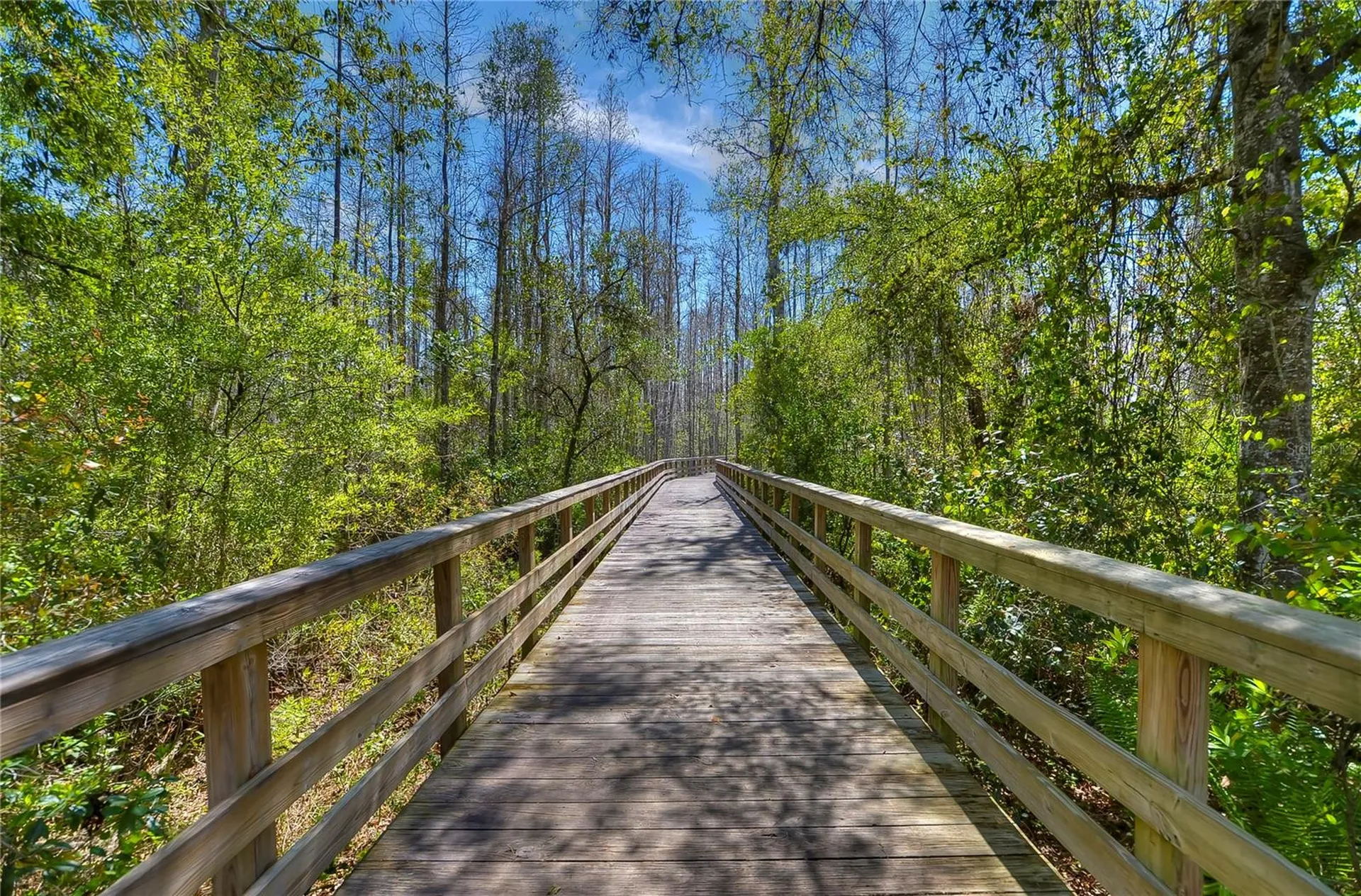 8934 Little Bluestem Drive Land O Lakes FL 34637