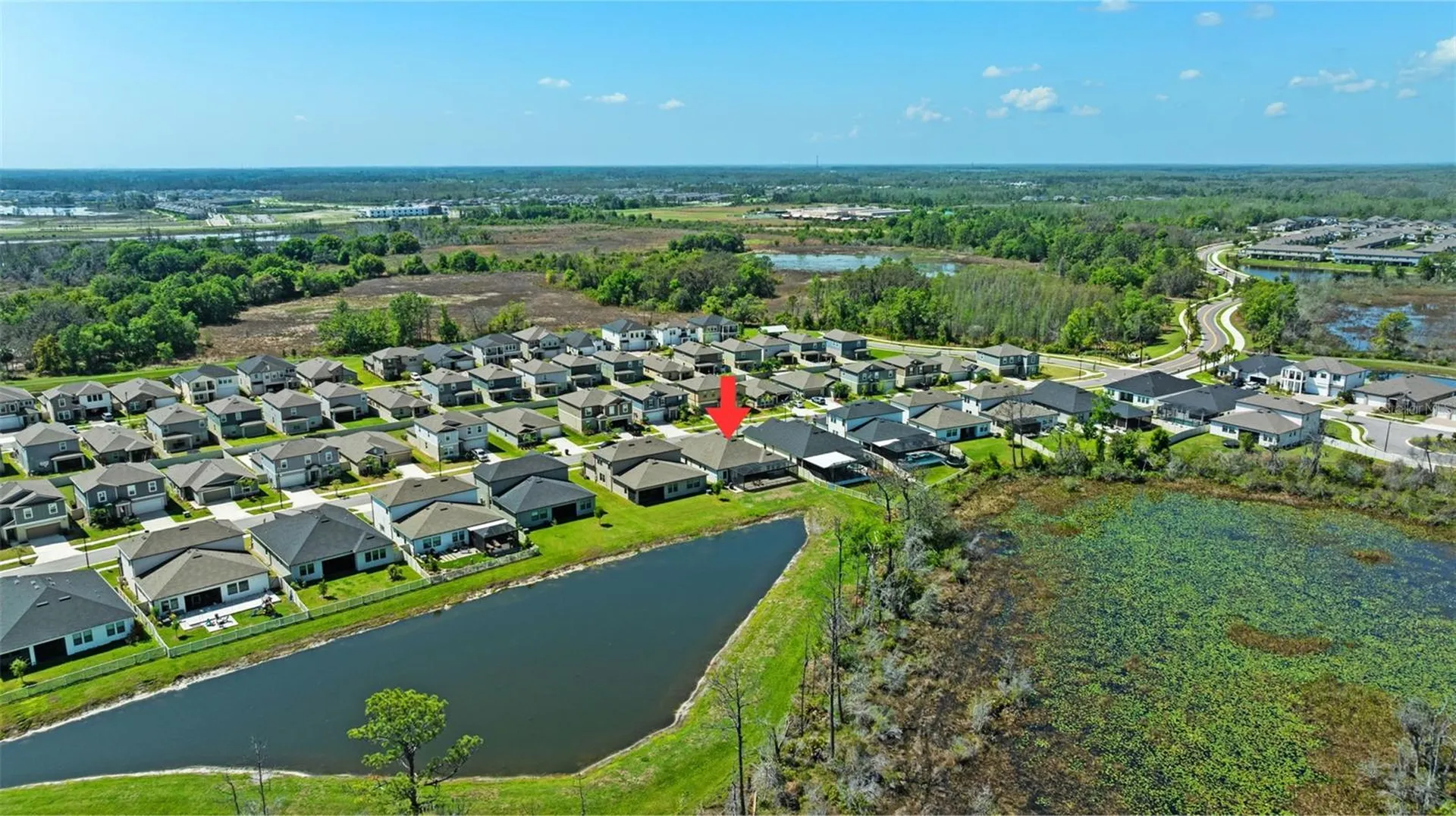 8934 Little Bluestem Drive Land O Lakes FL 34637