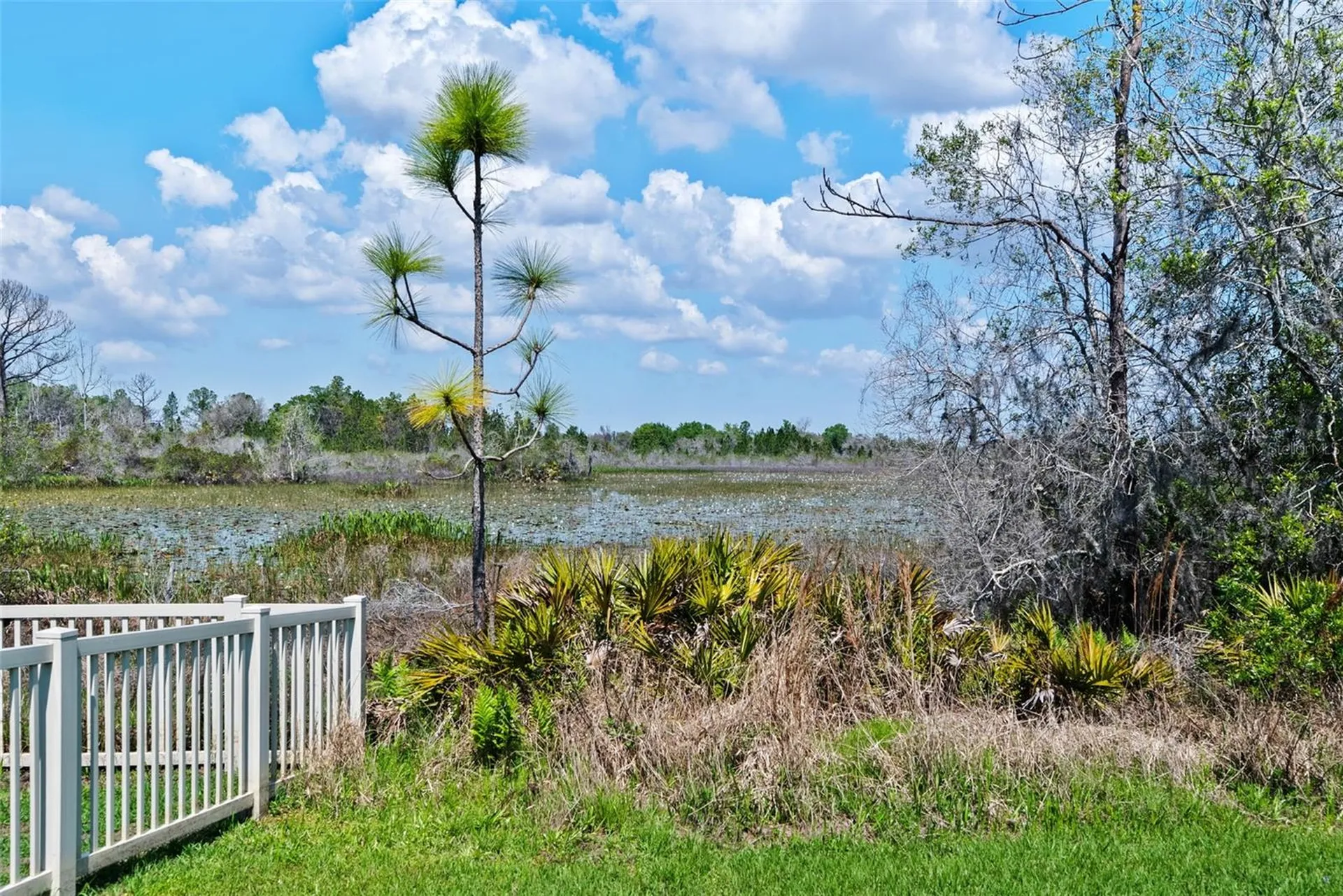 8934 Little Bluestem Drive Land O Lakes FL 34637