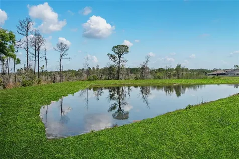 8934 Little Bluestem Drive Land O Lakes FL 34637