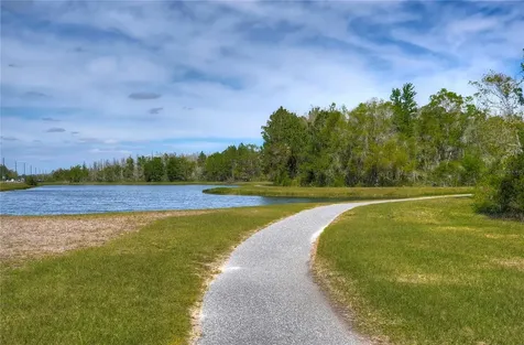 8934 Little Bluestem Drive Land O Lakes FL 34637