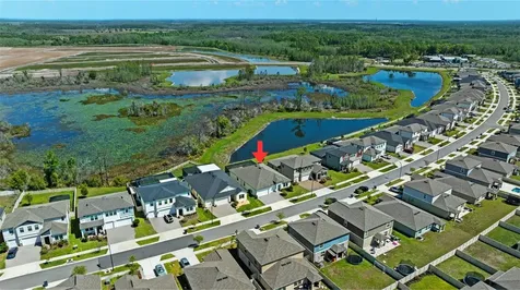 8934 Little Bluestem Drive Land O Lakes FL 34637