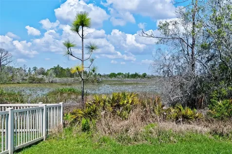 8934 Little Bluestem Drive Land O Lakes FL 34637