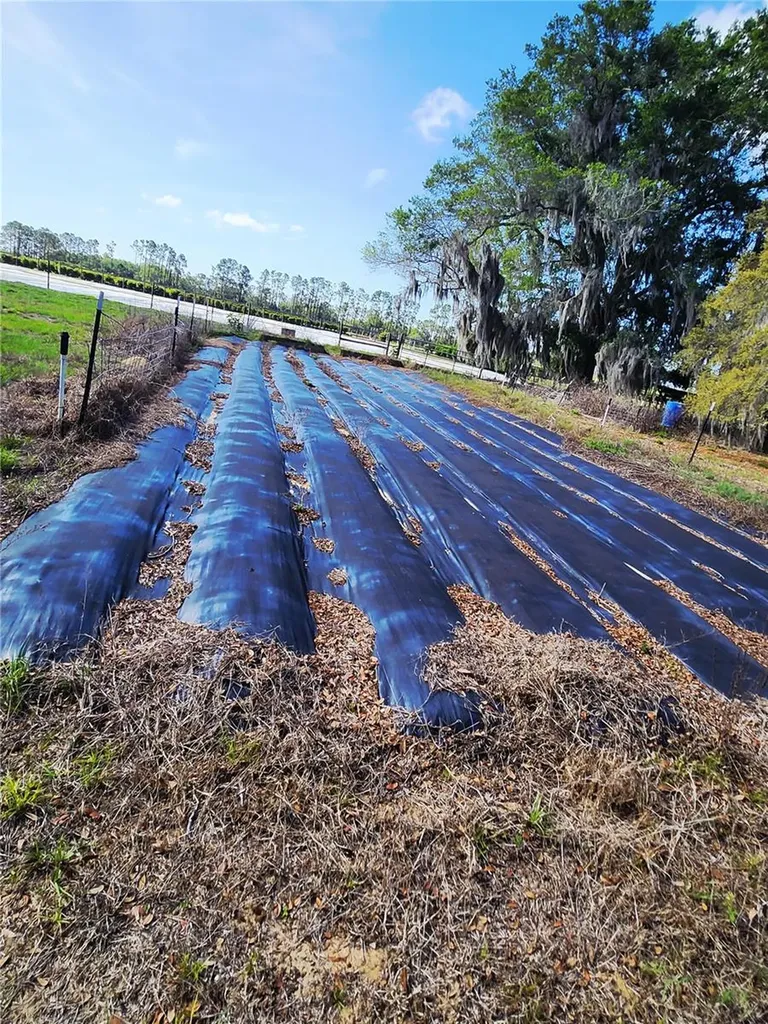 23100 SE Highway 42 Umatilla FL 32784