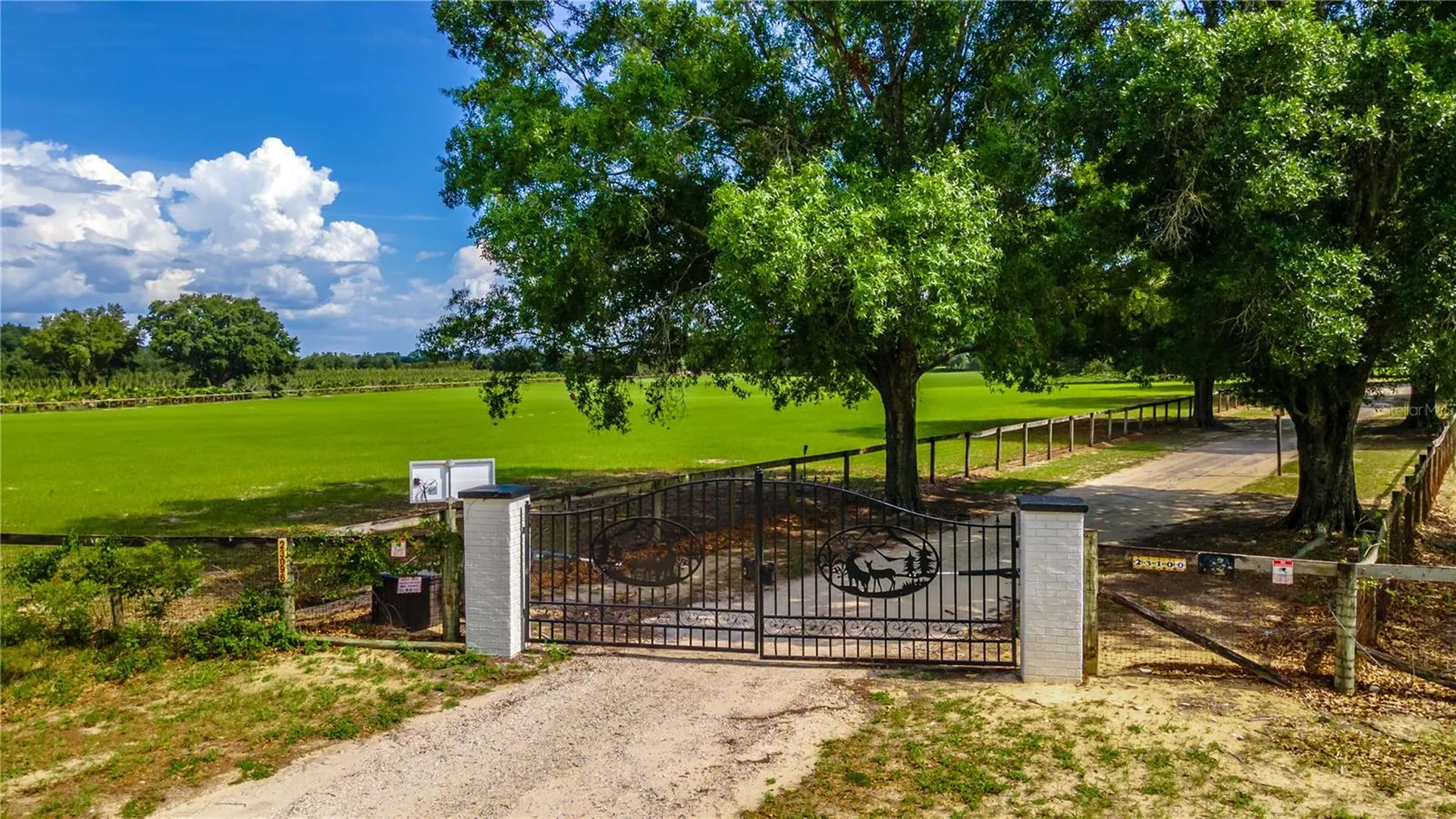 23100 SE Highway 42 Umatilla FL 32784