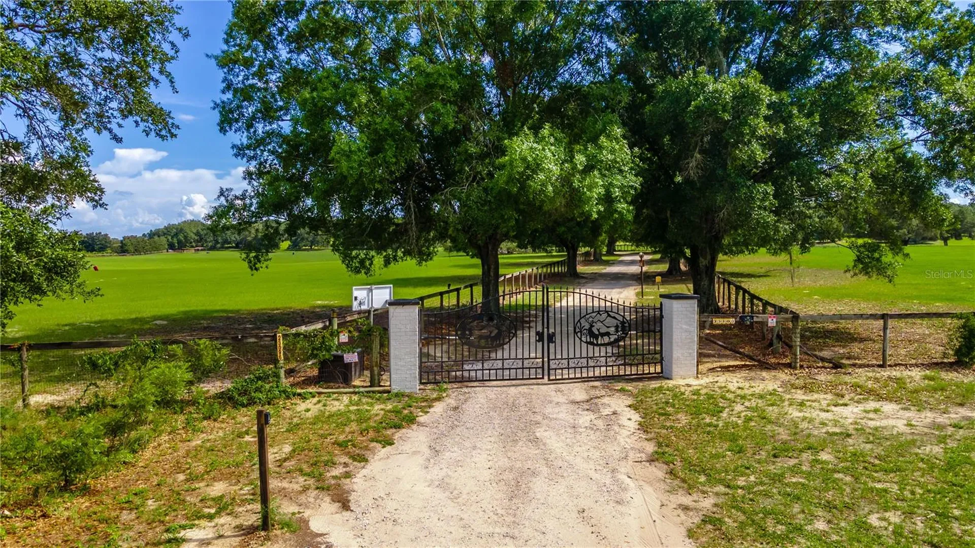 23100 SE Highway 42 Umatilla FL 32784
