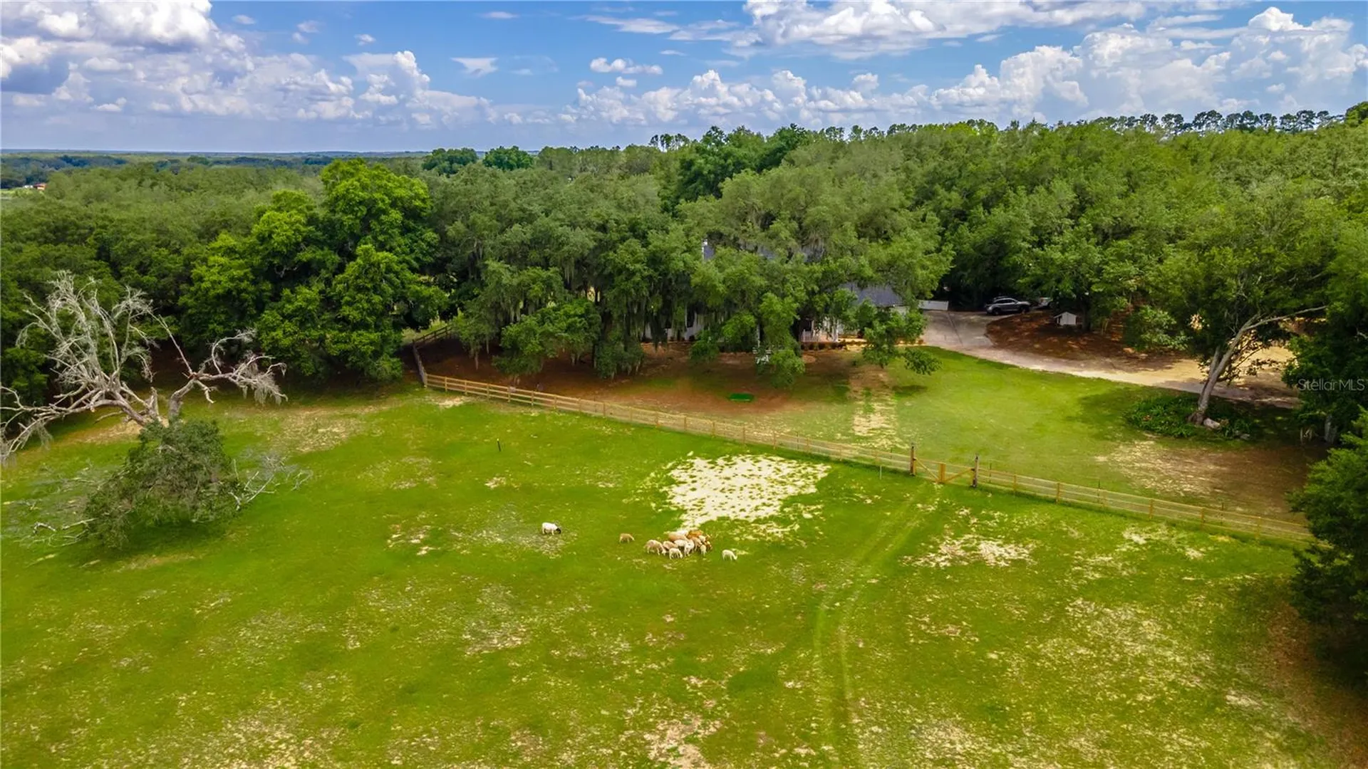 23100 SE Highway 42 Umatilla FL 32784
