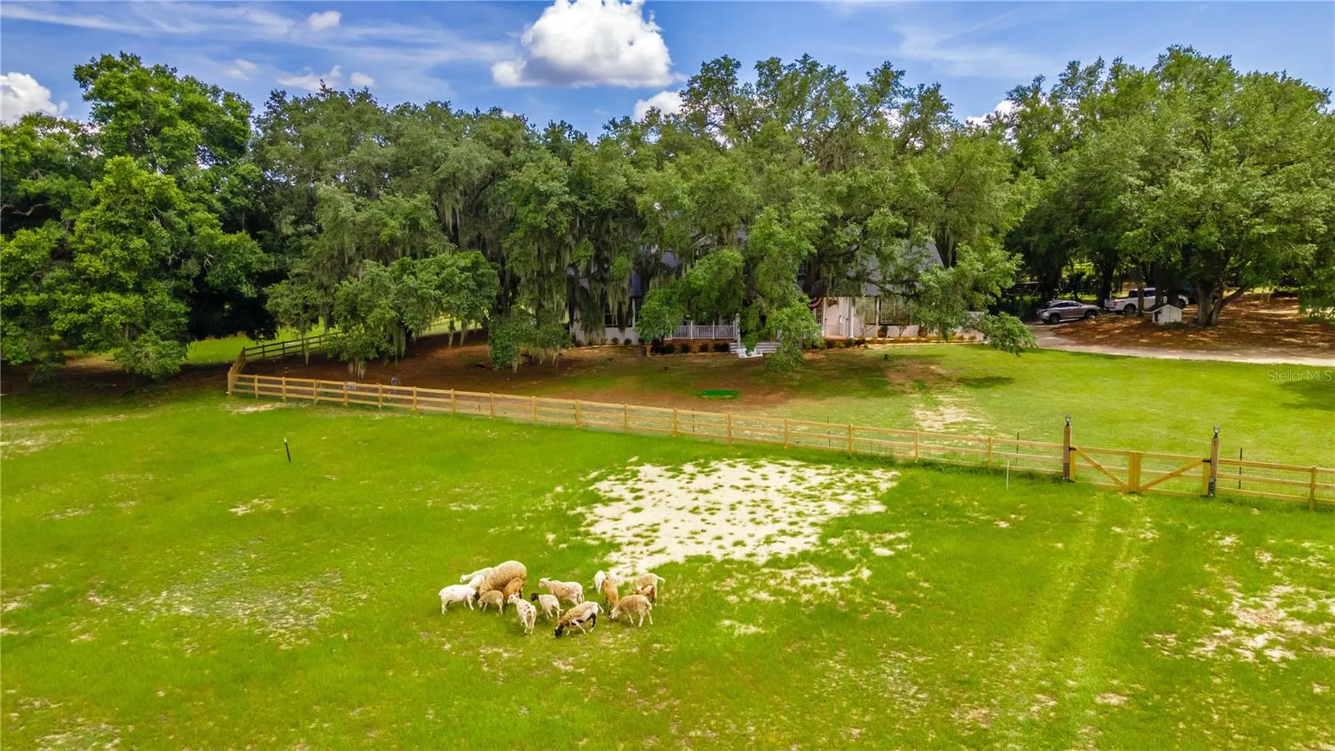 23100 SE Highway 42 Umatilla FL 32784