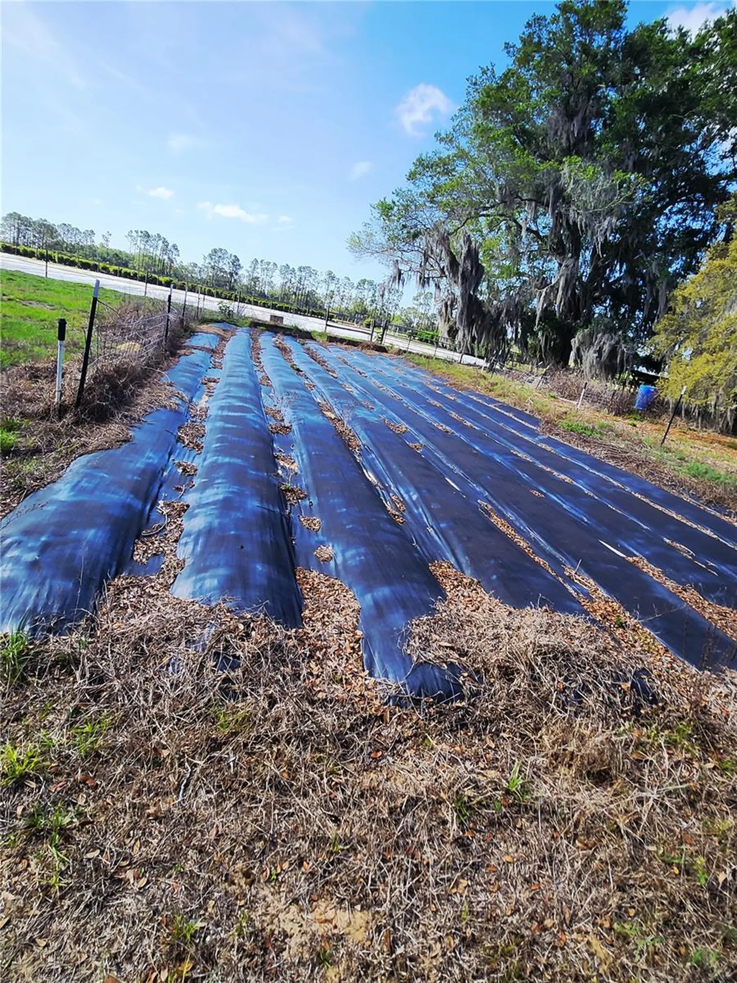 23100 SE Highway 42 Umatilla FL 32784