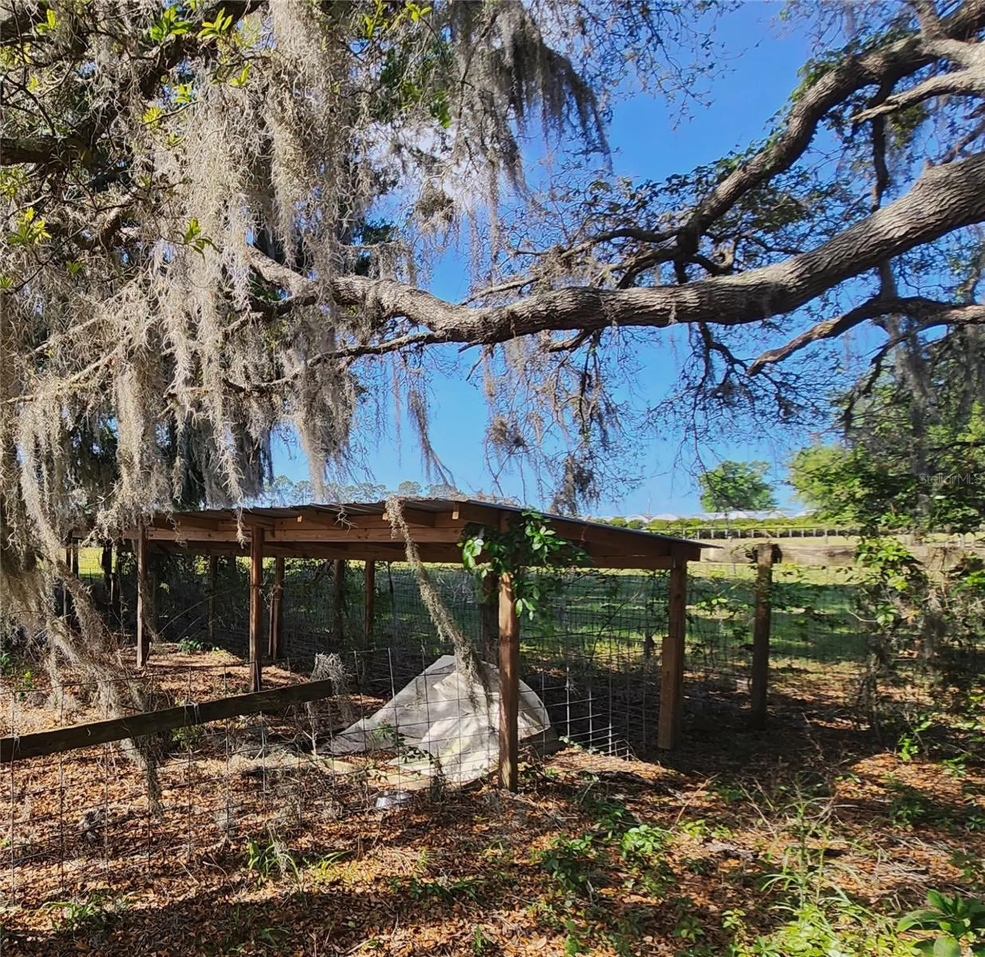 23100 SE Highway 42 Umatilla FL 32784
