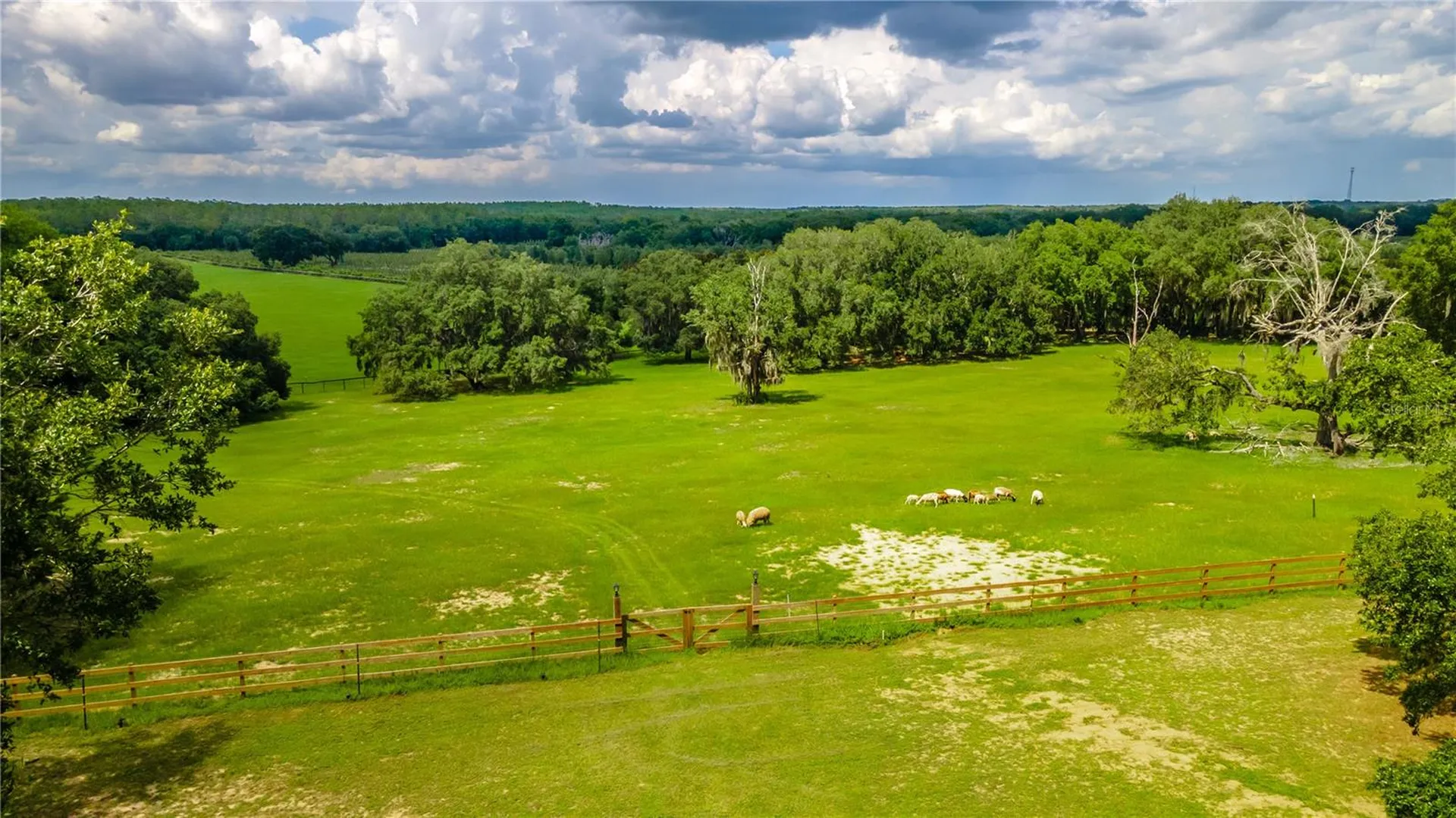 23100 SE Highway 42 Umatilla FL 32784