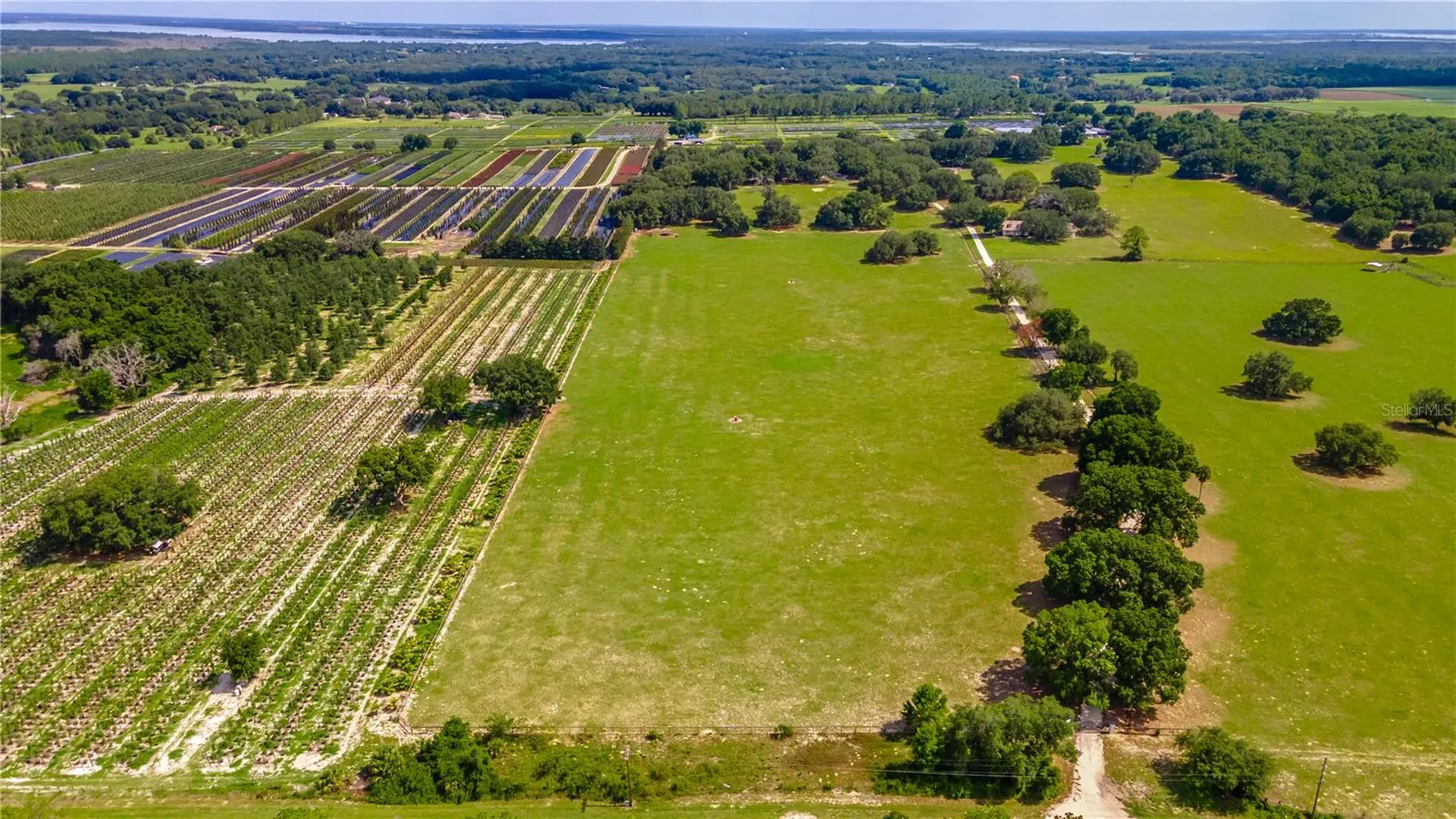 23100 SE Highway 42 Umatilla FL 32784