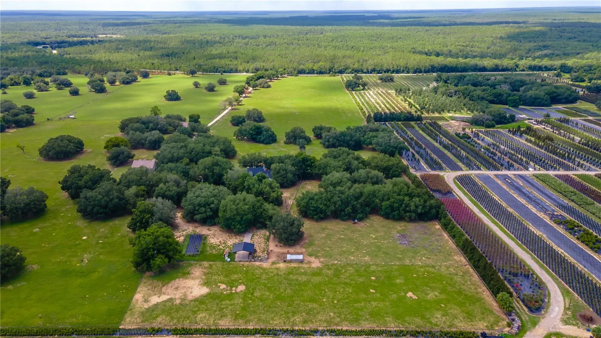23100 SE Highway 42 Umatilla FL 32784