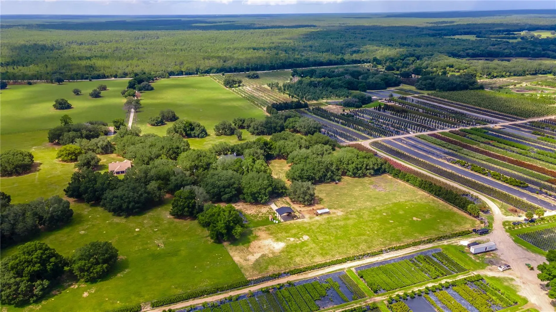 23100 SE Highway 42 Umatilla FL 32784